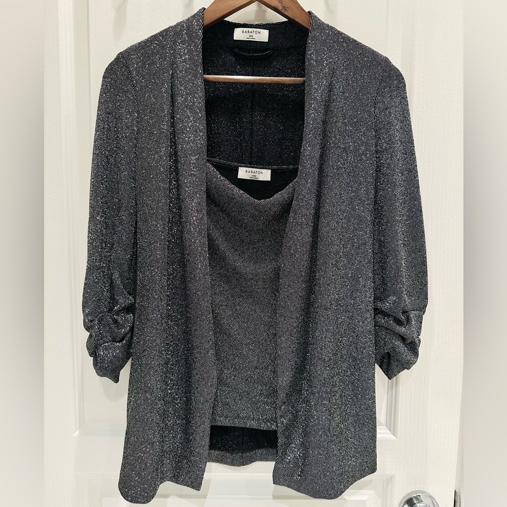 Babaton Aritzia Shimmering Blazer Suit and Matching Top